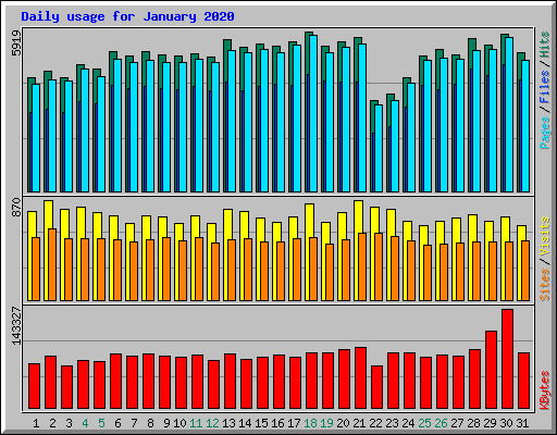 Daily usage for January 2020