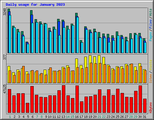 Daily usage for January 2023