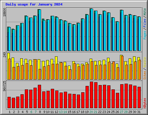 Daily usage for January 2024