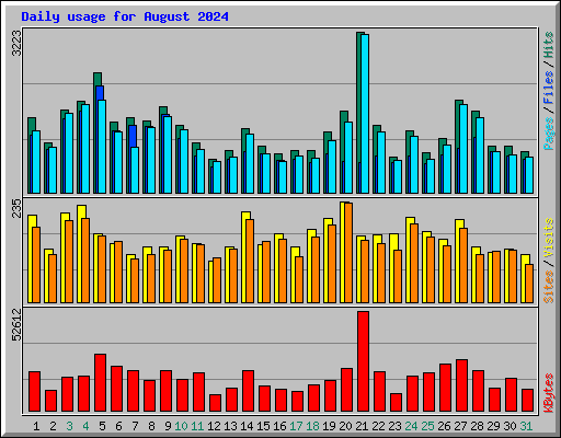 Daily usage for August 2024