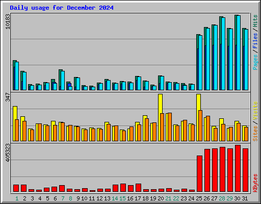 Daily usage for December 2024