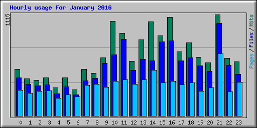 Hourly usage for January 2016