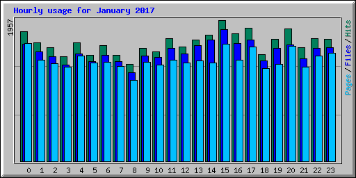 Hourly usage for January 2017