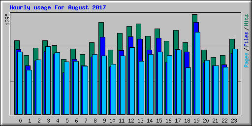 Hourly usage for August 2017