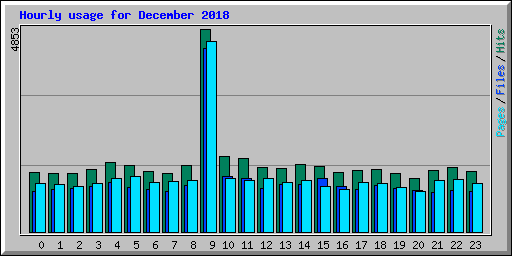 Hourly usage for December 2018