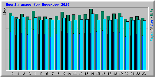Hourly usage for November 2019