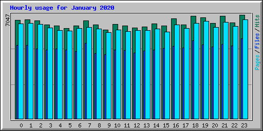 Hourly usage for January 2020