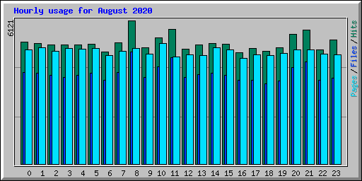 Hourly usage for August 2020