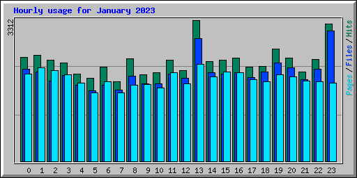 Hourly usage for January 2023