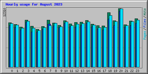 Hourly usage for August 2023