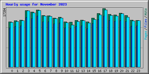 Hourly usage for November 2023