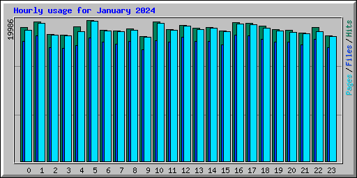 Hourly usage for January 2024