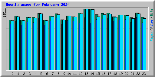 Hourly usage for February 2024