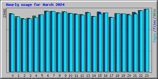 Hourly usage for March 2024