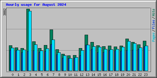 Hourly usage for August 2024