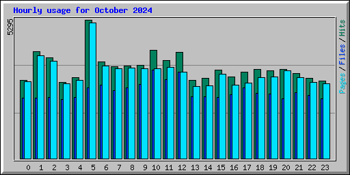 Hourly usage for October 2024