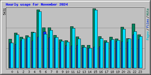 Hourly usage for November 2024