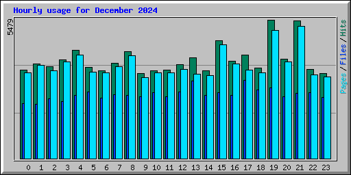 Hourly usage for December 2024