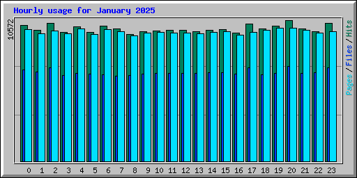 Hourly usage for January 2025