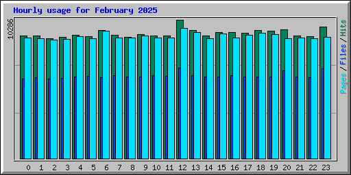Hourly usage for February 2025