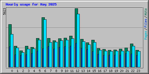 Hourly usage for May 2025