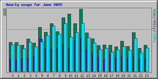 Hourly usage for June 2025